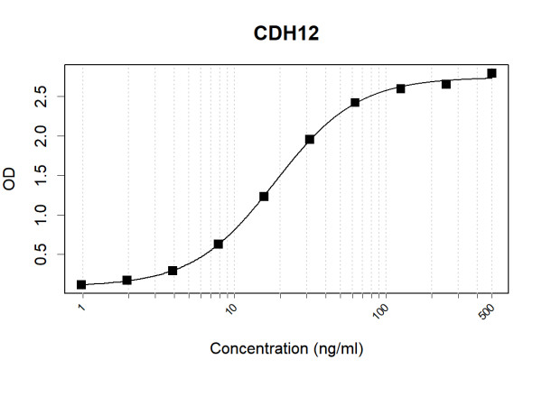Anti-Human CDH12 Antibody Pair