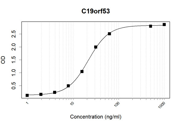 Anti-Human C19orf53 Antibody Pair