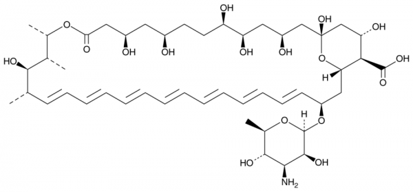 Amphotericin B