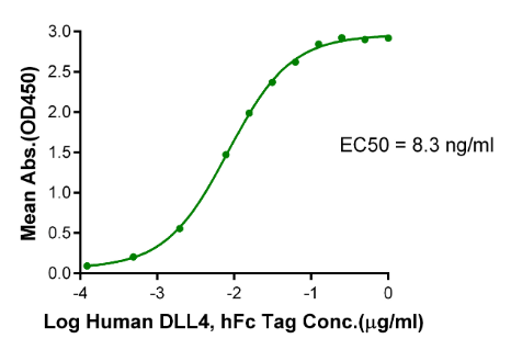 Notch 1, His &amp; Avi, Human