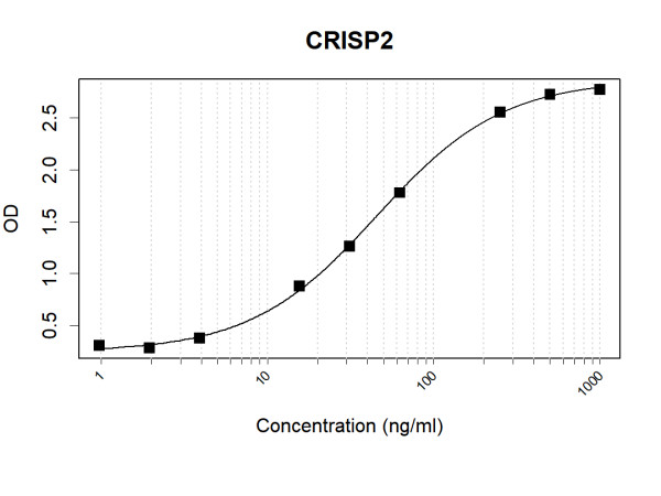 Anti-Human CRISP2 Antibody Pair
