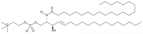 C22 Sphingomyelin (d18:1/22:0)