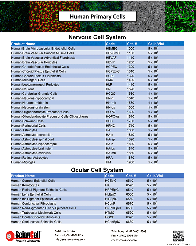 Human Primary Cells