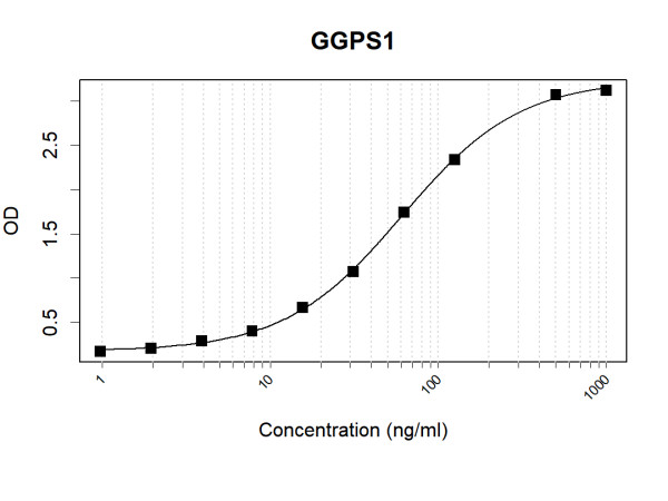 Anti-Human GGPS1 Antibody Pair