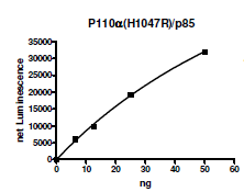 PI3 kinase [p110alpha(H1047R)/p85alpha], FLAG-tag