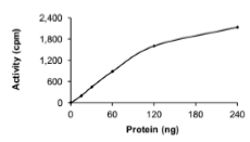 TRKC (L686M), Mutant, Active