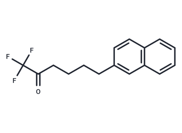 FKGK 18