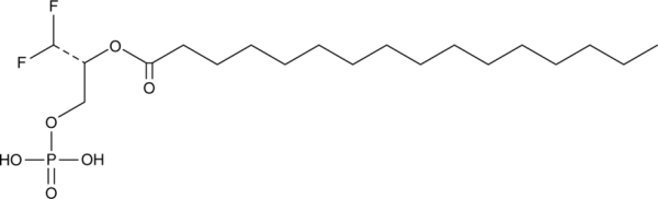 XY-4