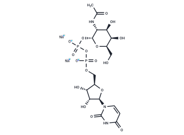 UDP-GalNAc disodium
