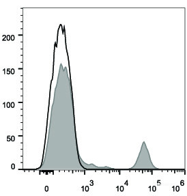 Anti-Human CD20 (FITC Conjugated)[2H7], clone 2H7