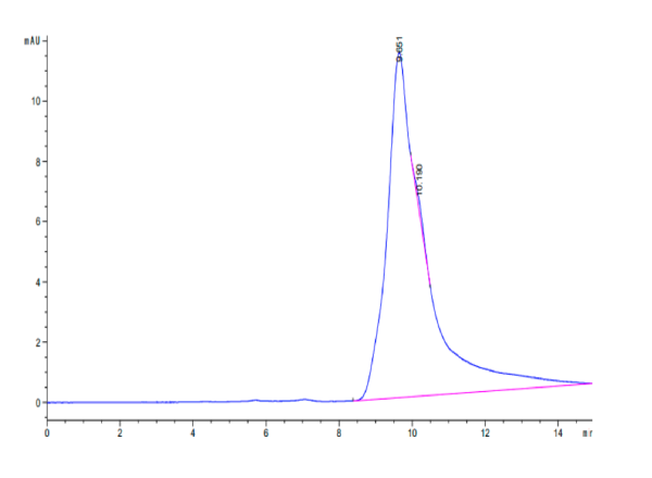 Human CD69/CLEC2C Protein