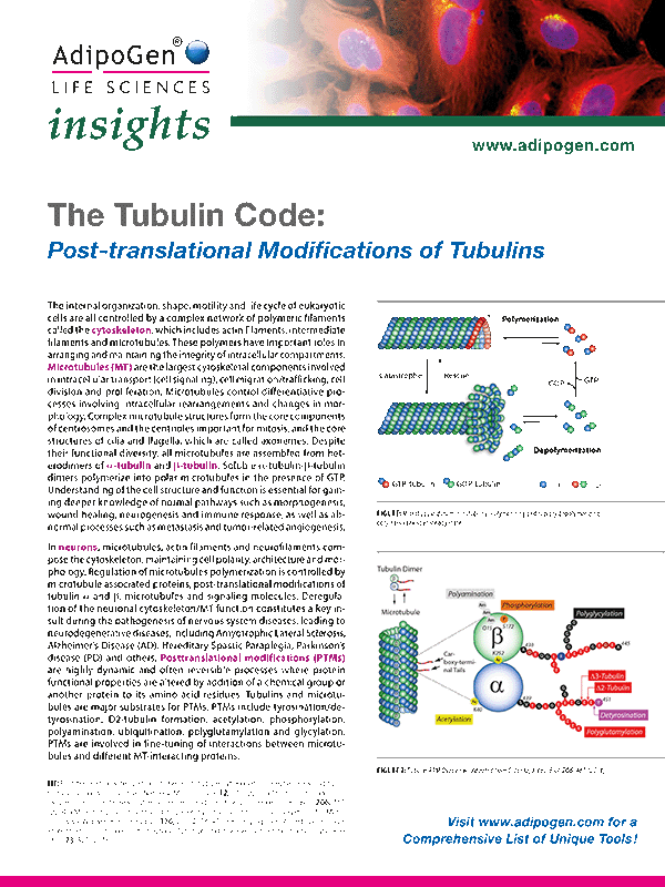 The Tubulin Code