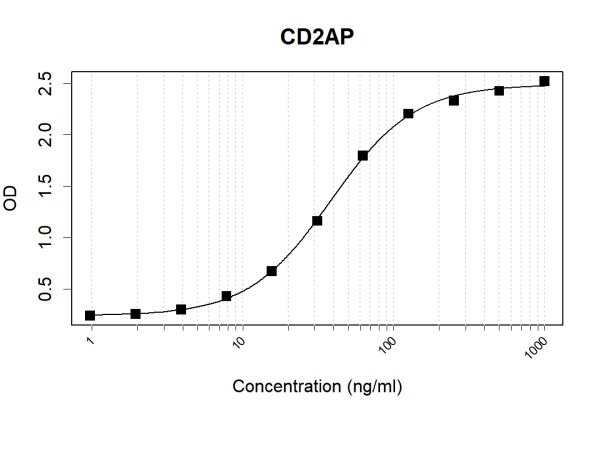 Anti-Human CD2AP Antibody Pair