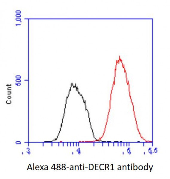 Anti-DECR1, clone 3B2