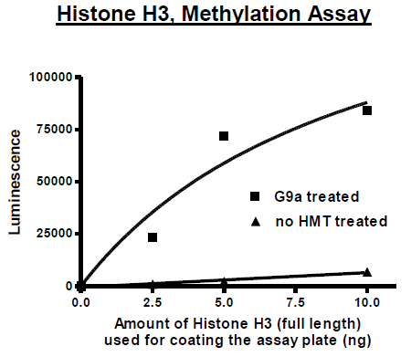 Histone H3, full length, recombinant protein, N-terminal His-tag