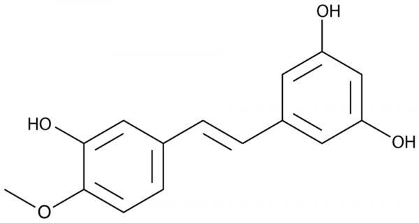 Rhapontigenin