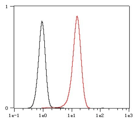Anti-IKK gamma, clone SQab1868