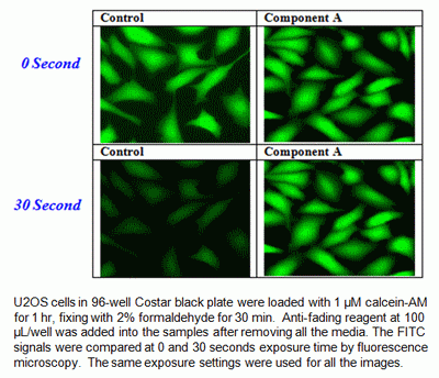 FluoroQuest(TM)Anti-fading Kit II *Optimized for Plate Imaging*