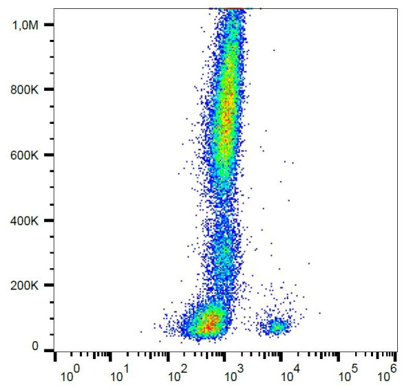 Anti-CD19, clone LT19 (PerCP)