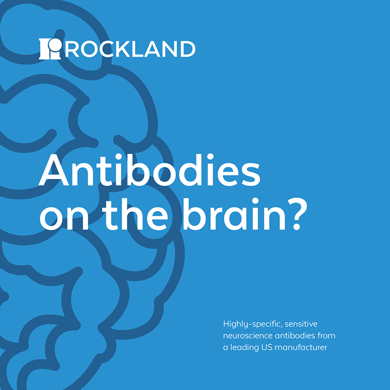 Neuroscience Antibodies