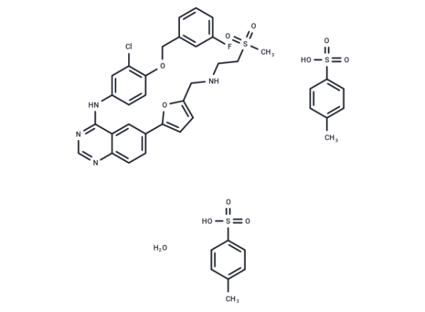 Lapatinib ditosylate monohydrate