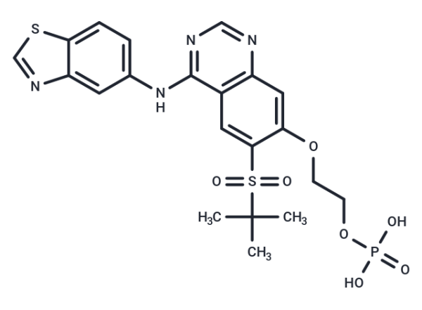 GSK2983559 free acid
