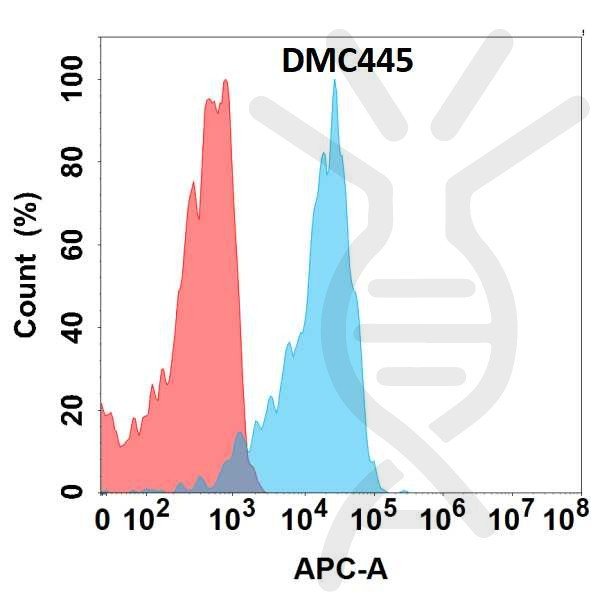 Anti-SLAMF1 antibody(DMC445), IgG1 Chimeric mAb