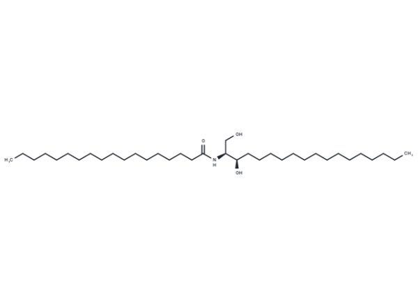 C18 dihydro Ceramide (d18:0/18:0)