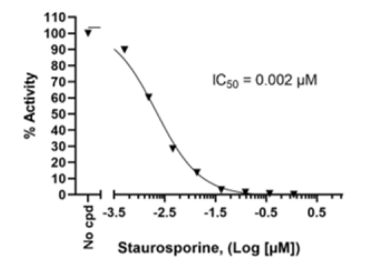 Chemi-Verse(TM) PAK7 Kinase Assay Kit