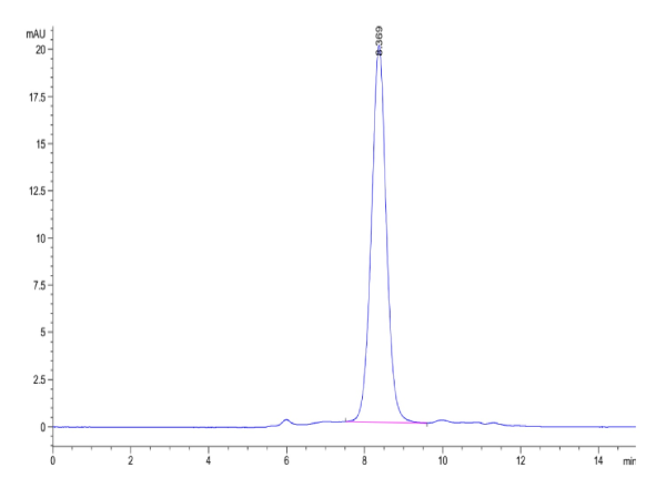 Human CD160 Protein