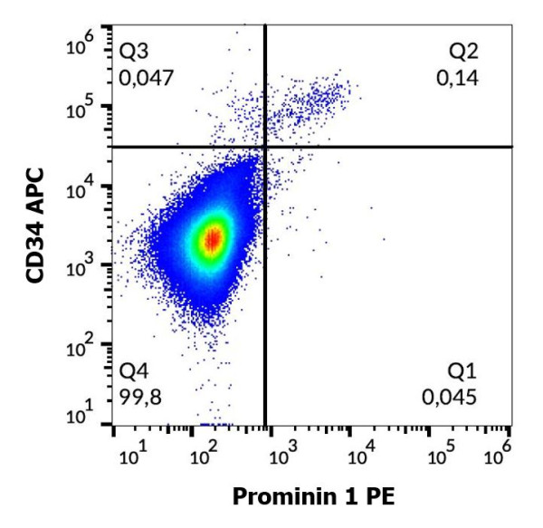 Anti-Prominin 1 (PE), clone 293C3