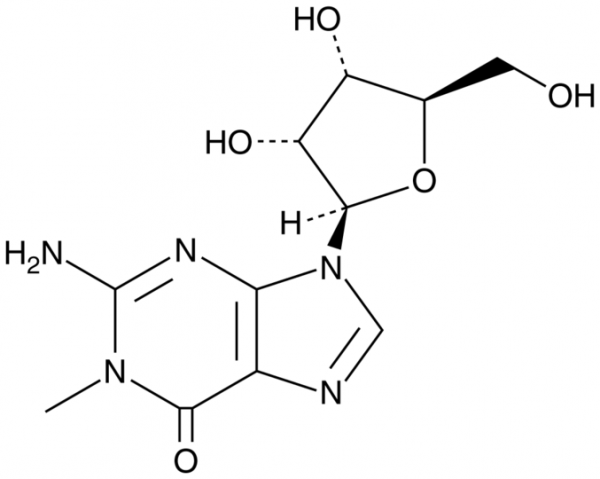 N1-Methylguanosine