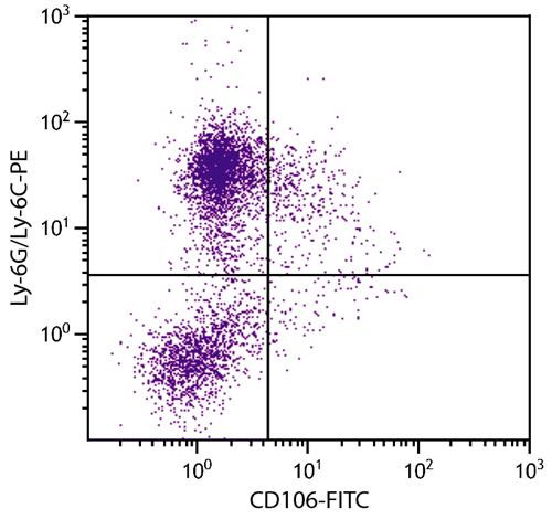 Anti-CD106 / VCAM1 (FITC), clone M/K-2