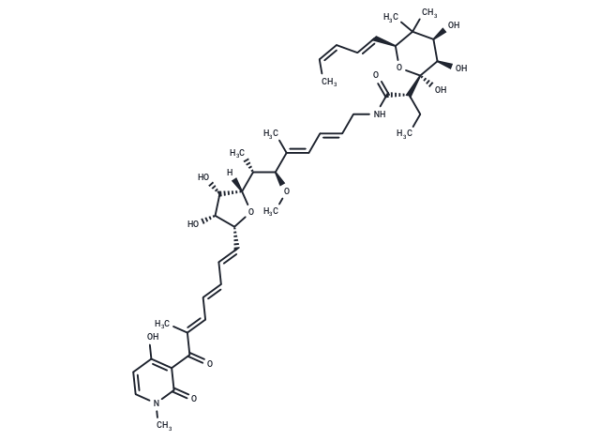 Aurodox