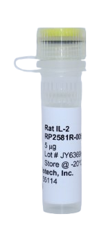 IL-2 Recombinant Protein,rat