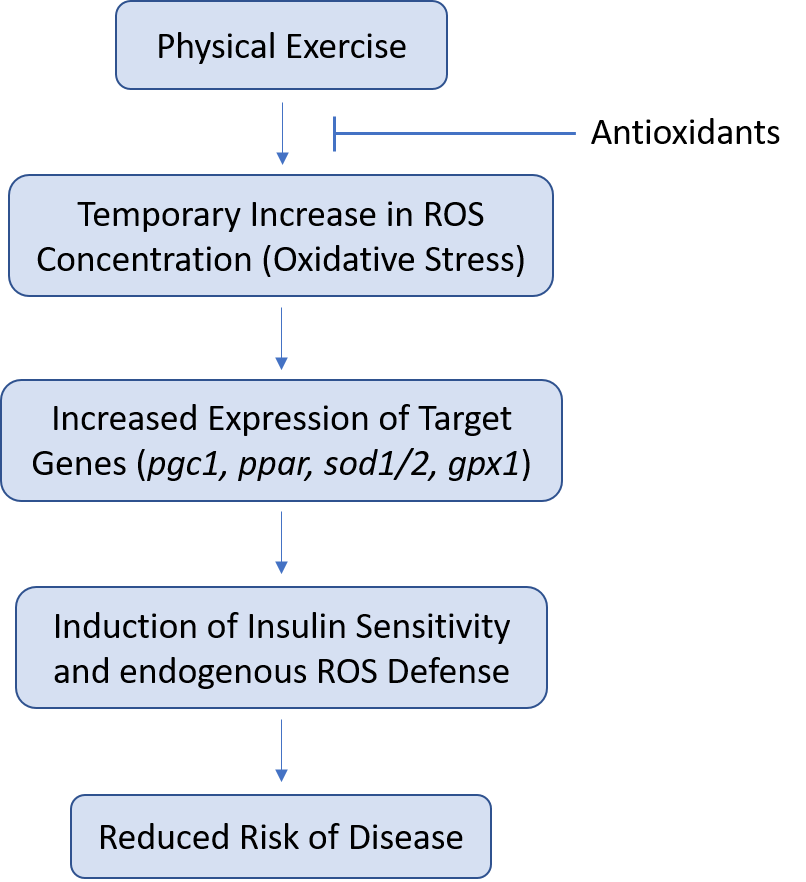 ROS_Image_EN