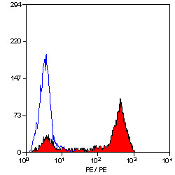 Anti-CD52 (RPE), clone YTH34.5