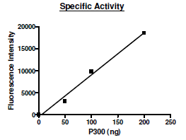 p300 (KAT3B) Active Human Recombinant Protein