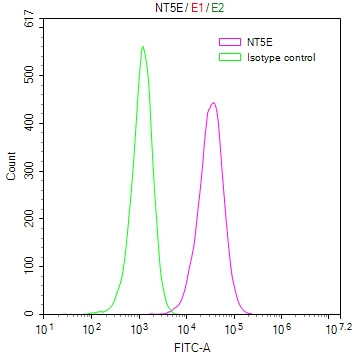 Anti-NT5E, recombinant clone 8G5