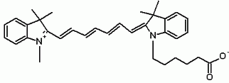 Cy7NS acid