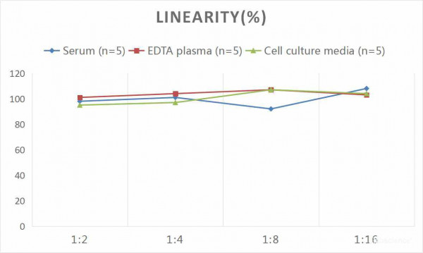 Human ES (Endostatin) CLIA Kit