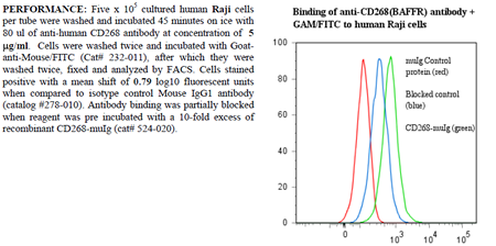 Anti-CD268 [BAFF-R] (human), clone ANC268.2/6E6