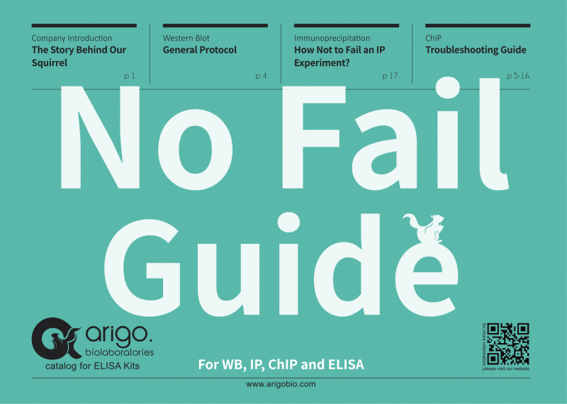 Arigo No Fail Guide