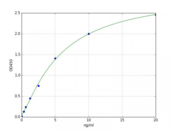 Human FCGR3B / CD16B ELISA Kit