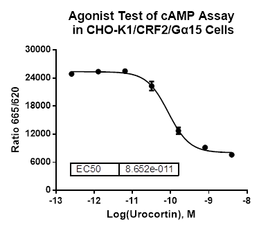CHO-K1/CRF2/Galpha15 Stable Cell Line