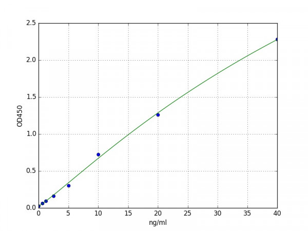 Human Reticulocalbin 1 ELISA Kit