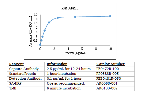 Anti-APRIL (TNFSF13) (rat)