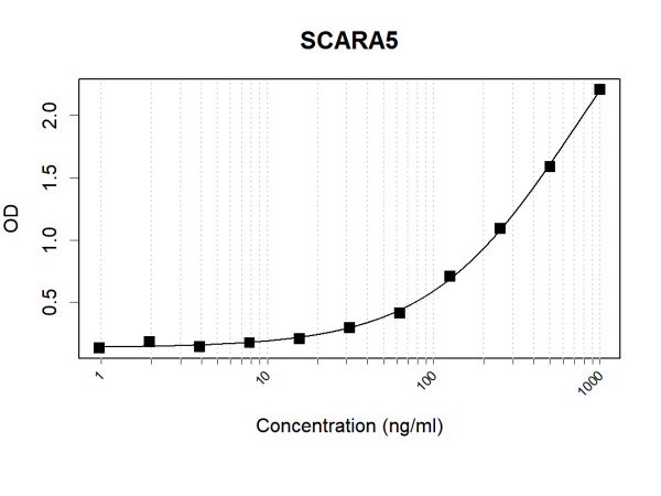 Anti-Human SCARA5 Antibody Pair