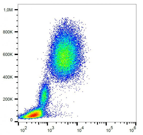 Anti-CD10, clone MEM-78 (FITC)