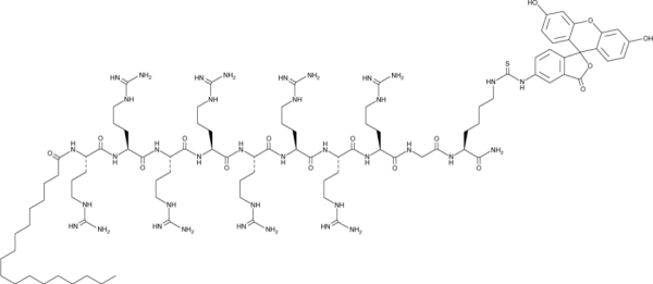 FITC-Stearyl-R8